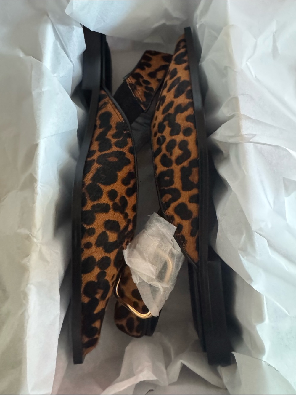Leopard Print Pointed Toe Slingback Flats - Women - Picture 11 of 12